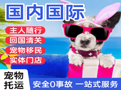 查干湖空运公司国际宠物托运 【国